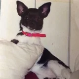 Peggy