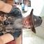 Chuck Thomas