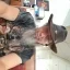 Chuck Thomas